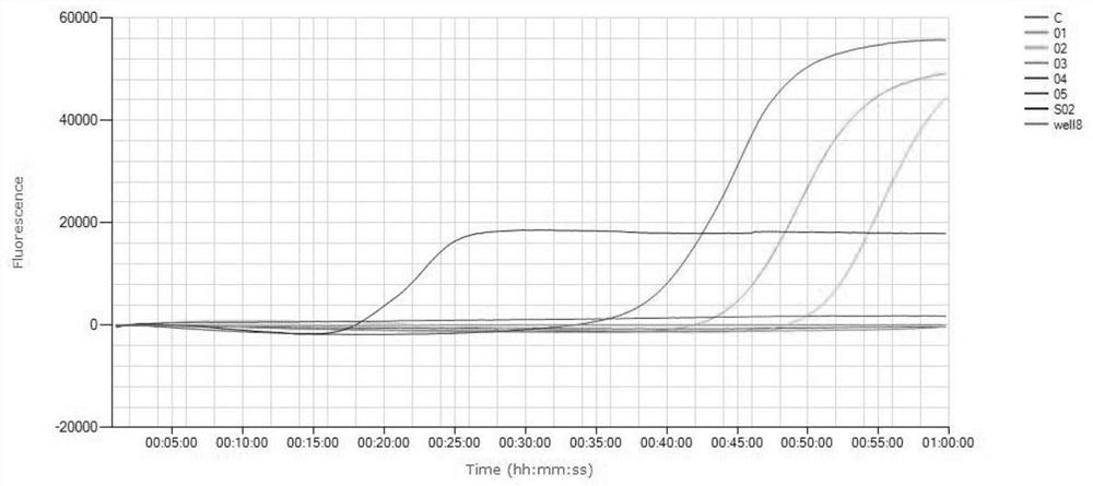 Primers and kit for detecting mycoplasma pneumoniae