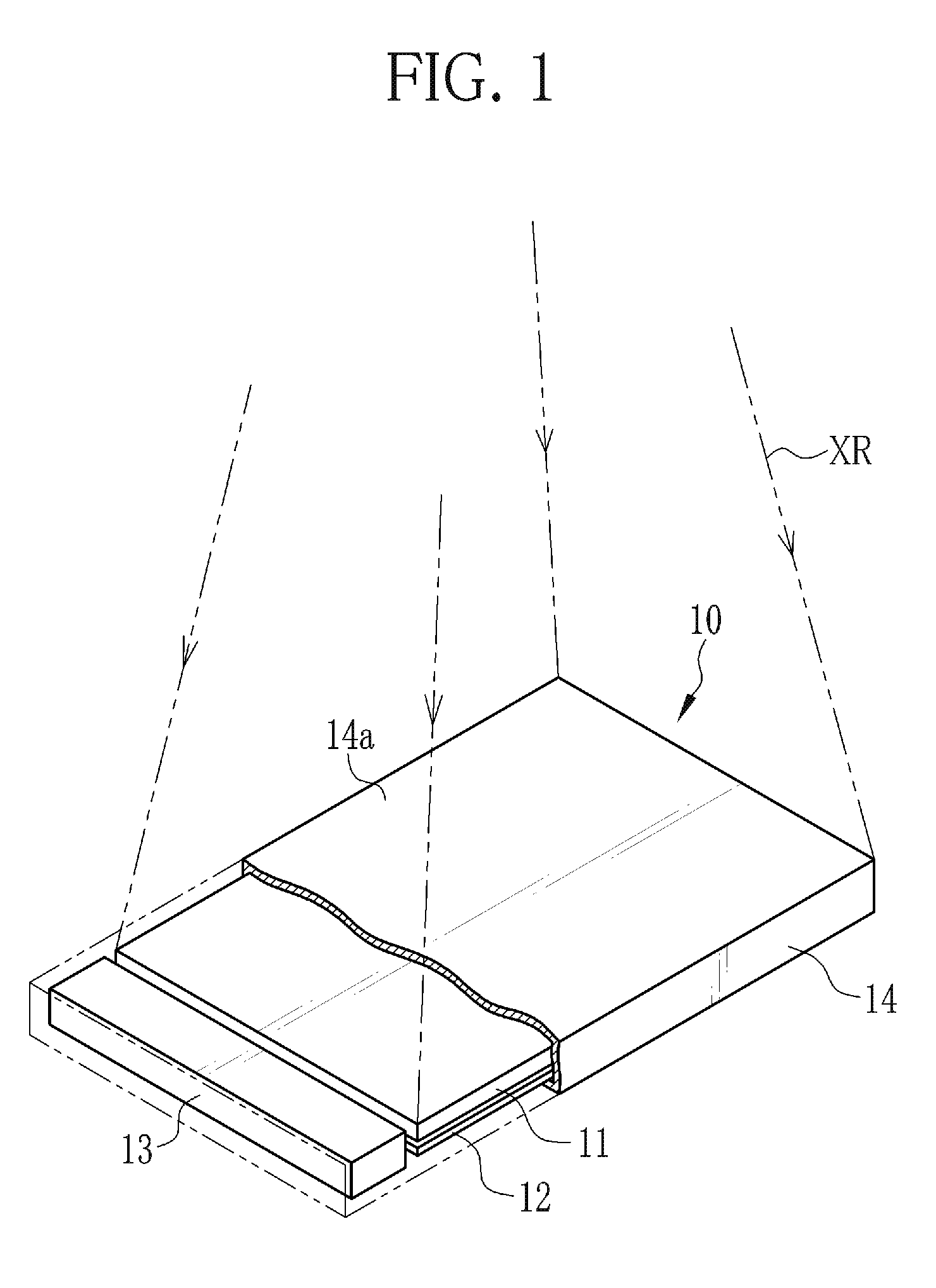 Radiographic image detection device