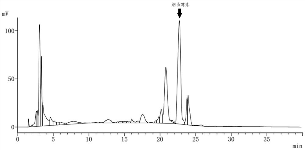 A kind of culture medium and culture method for aspergillus fumigatus fermentation producing fumagillin