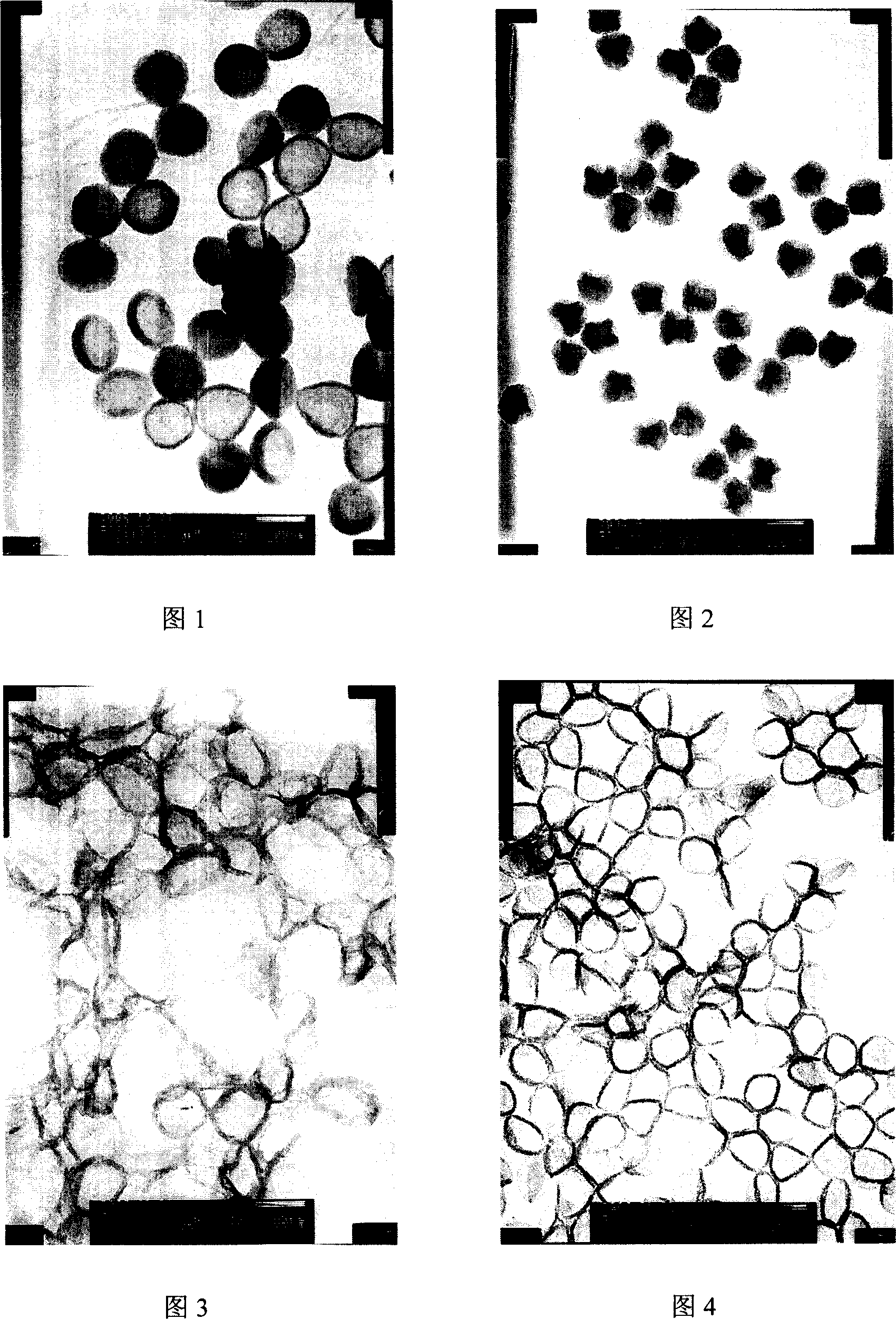 Mono-dispersed nano/micron polymer hollow microsphere resin and method for synthesizing the same