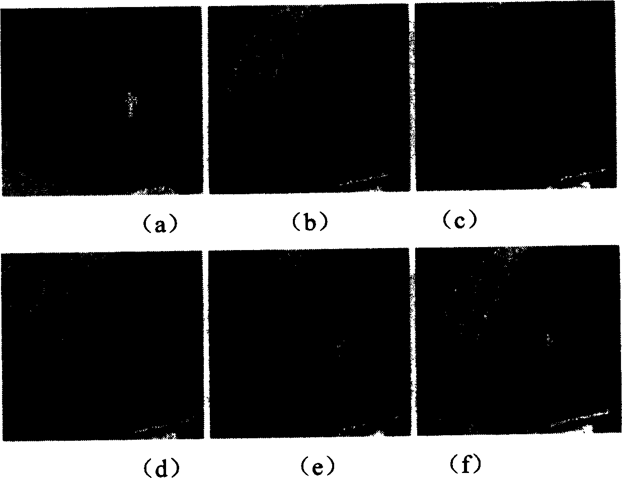 Image merging method based on maximum expectation value and discrete wavelet frame