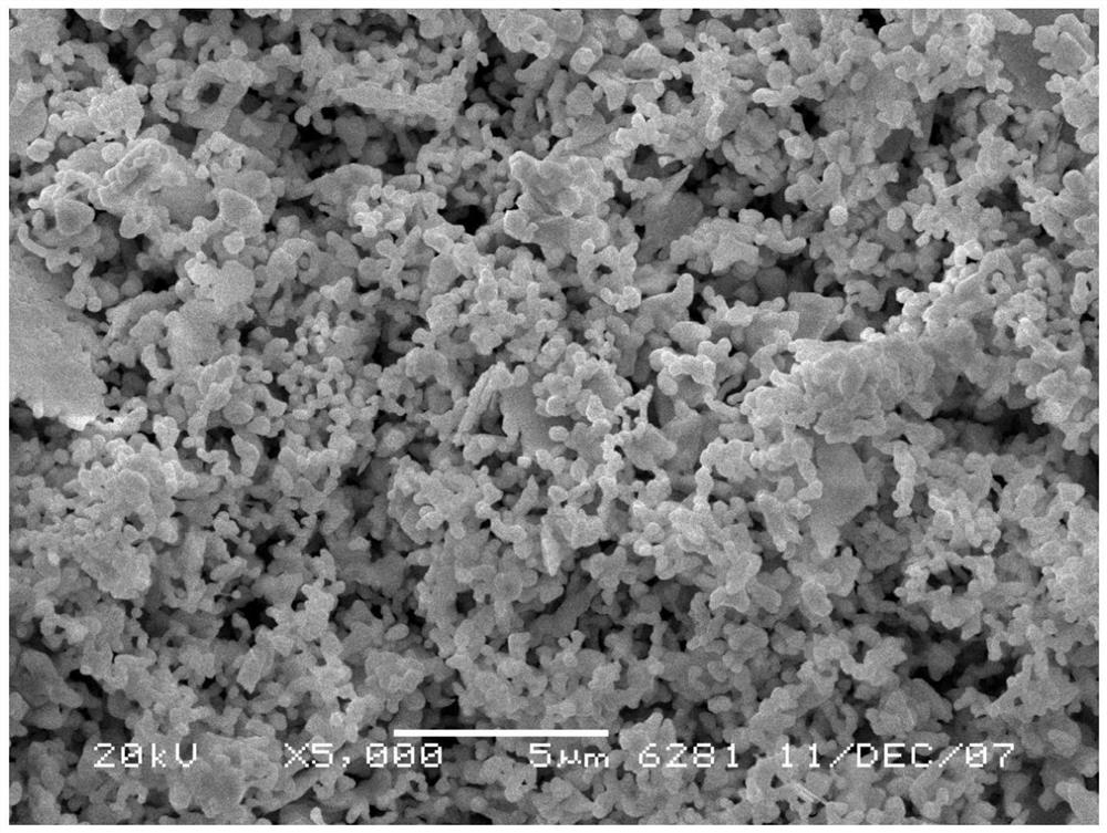 Spherical tantalum powder as well as preparation method and application thereof