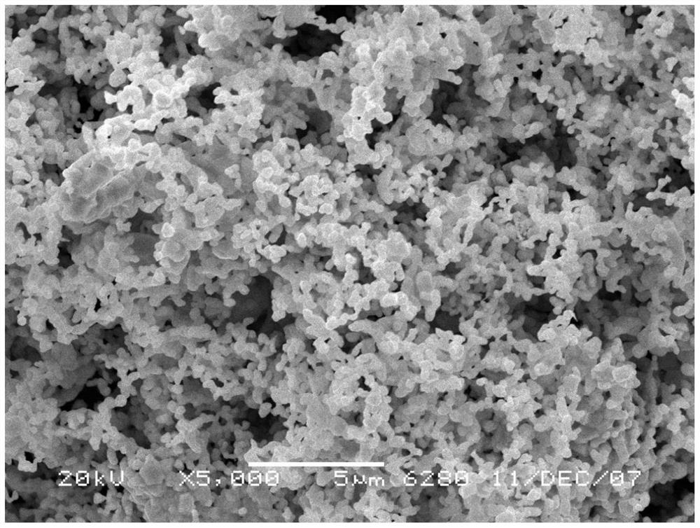 Spherical tantalum powder as well as preparation method and application thereof