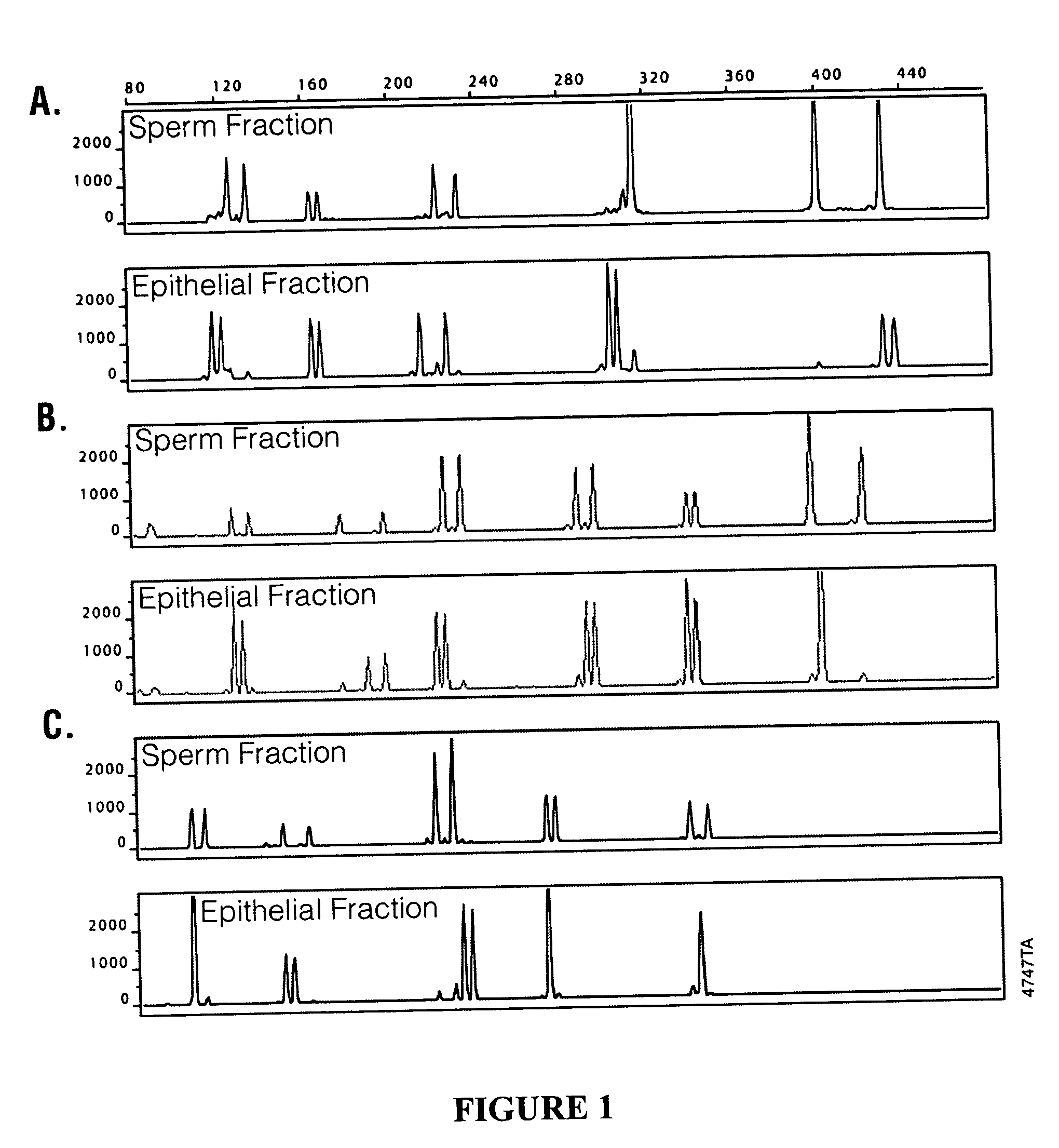 Methods and kits for isolating sperm cells