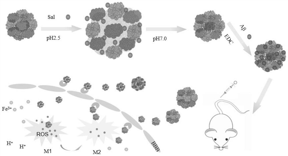 ROS response type nano-carrier based on microglial cell phenotype regulation and intracerebral iron removal as well as preparation method and application of ROS response type nano-carrier