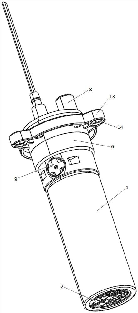 Internal oil passing structure of diesel pump