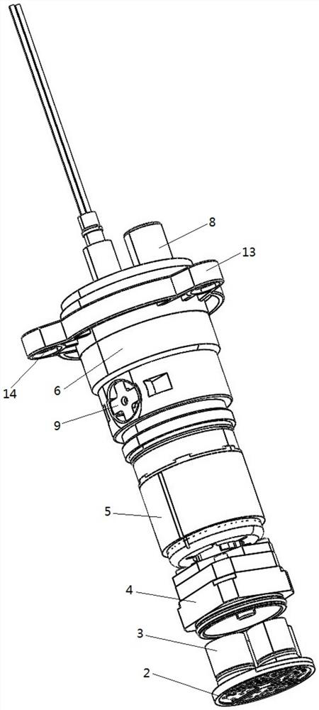 Internal oil passing structure of diesel pump