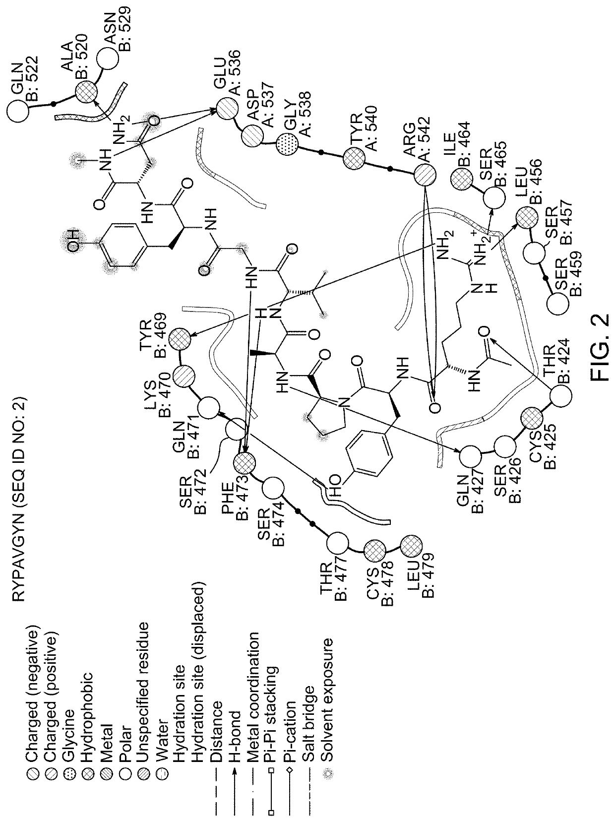 Antiviral peptides for treatment of the middle east respiratory syndrome