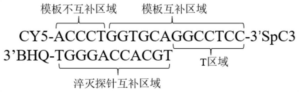 Method for detecting alpha-thalassemia and beta-thalassemia point mutation