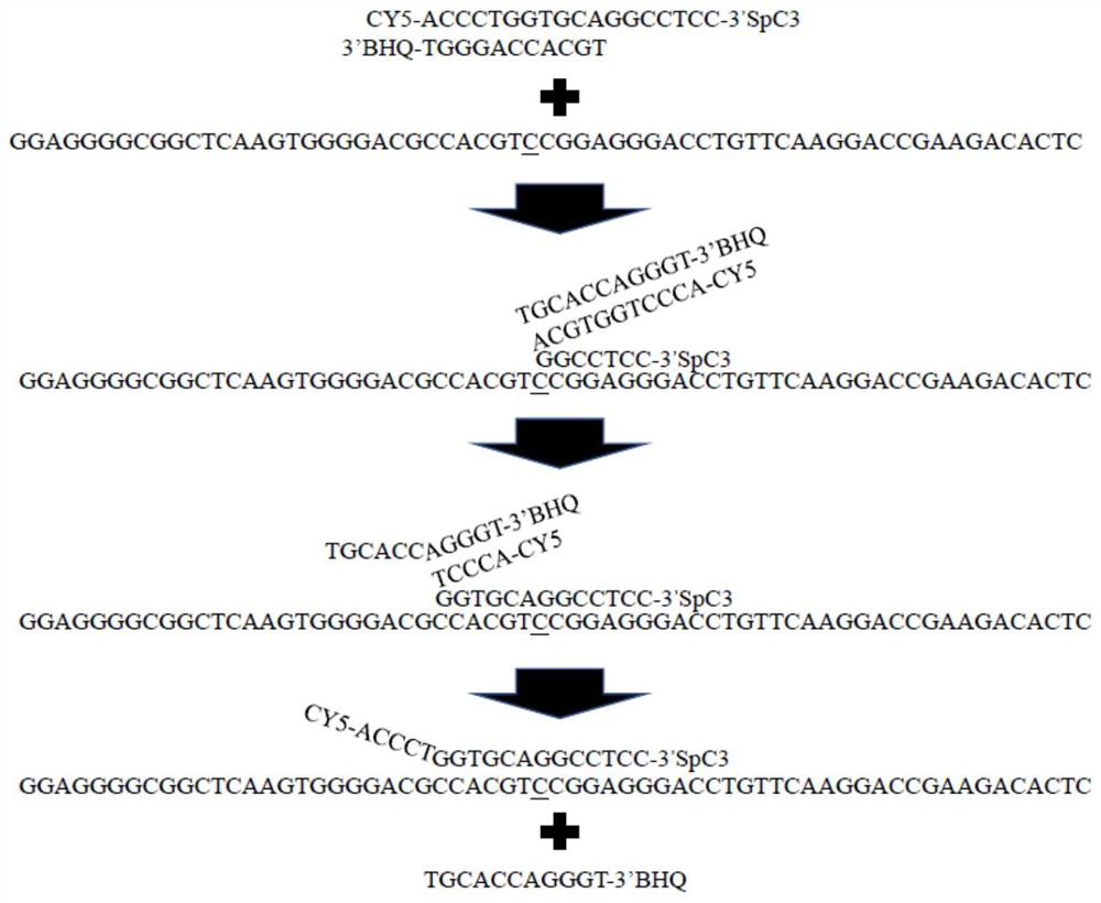 Method for detecting alpha-thalassemia and beta-thalassemia point mutation