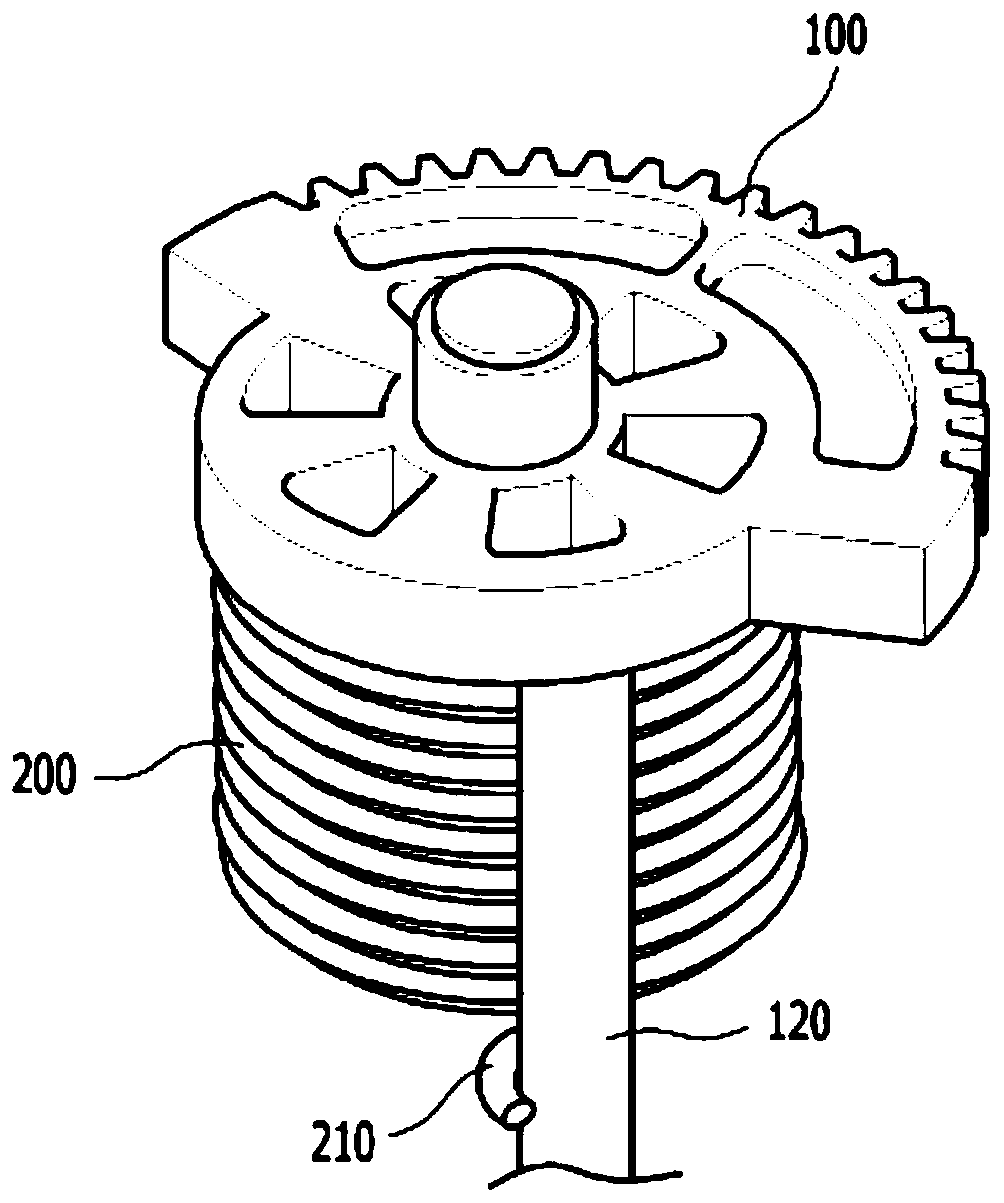 Mounting structure of torsion spring capable of reverse rotation and rotary gear