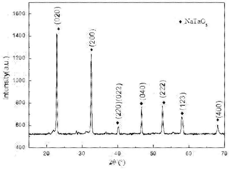 Method for preparing high catalytic activity sodium tantalate photo-catalyst by hydro-thermal method