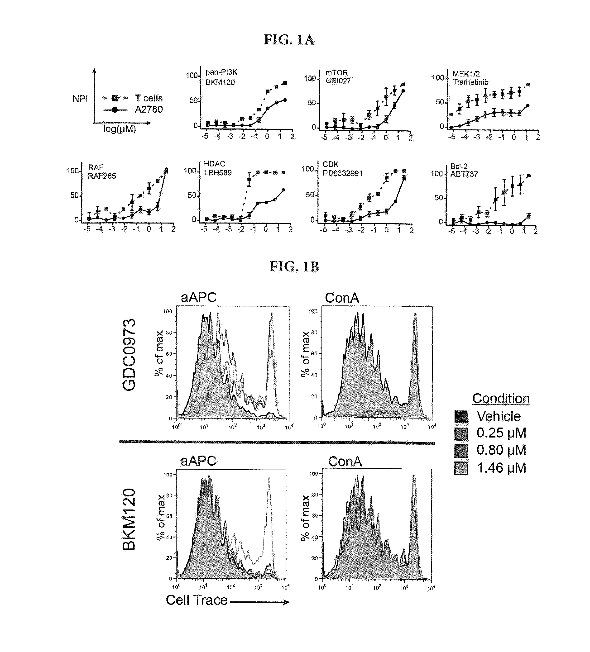 Methods and compositions for treatment of metastatic and refractory cancers and tumors