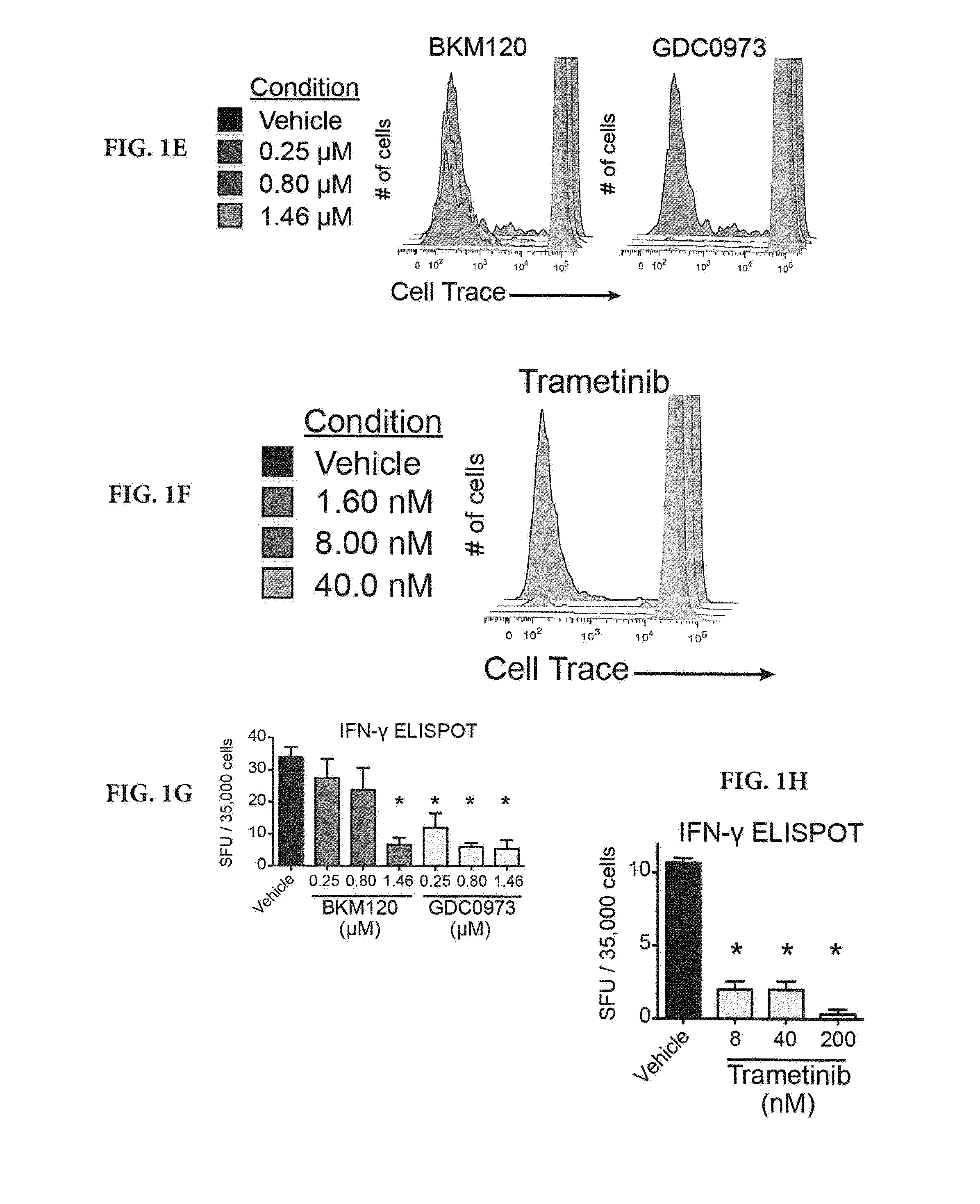 Methods and compositions for treatment of metastatic and refractory cancers and tumors