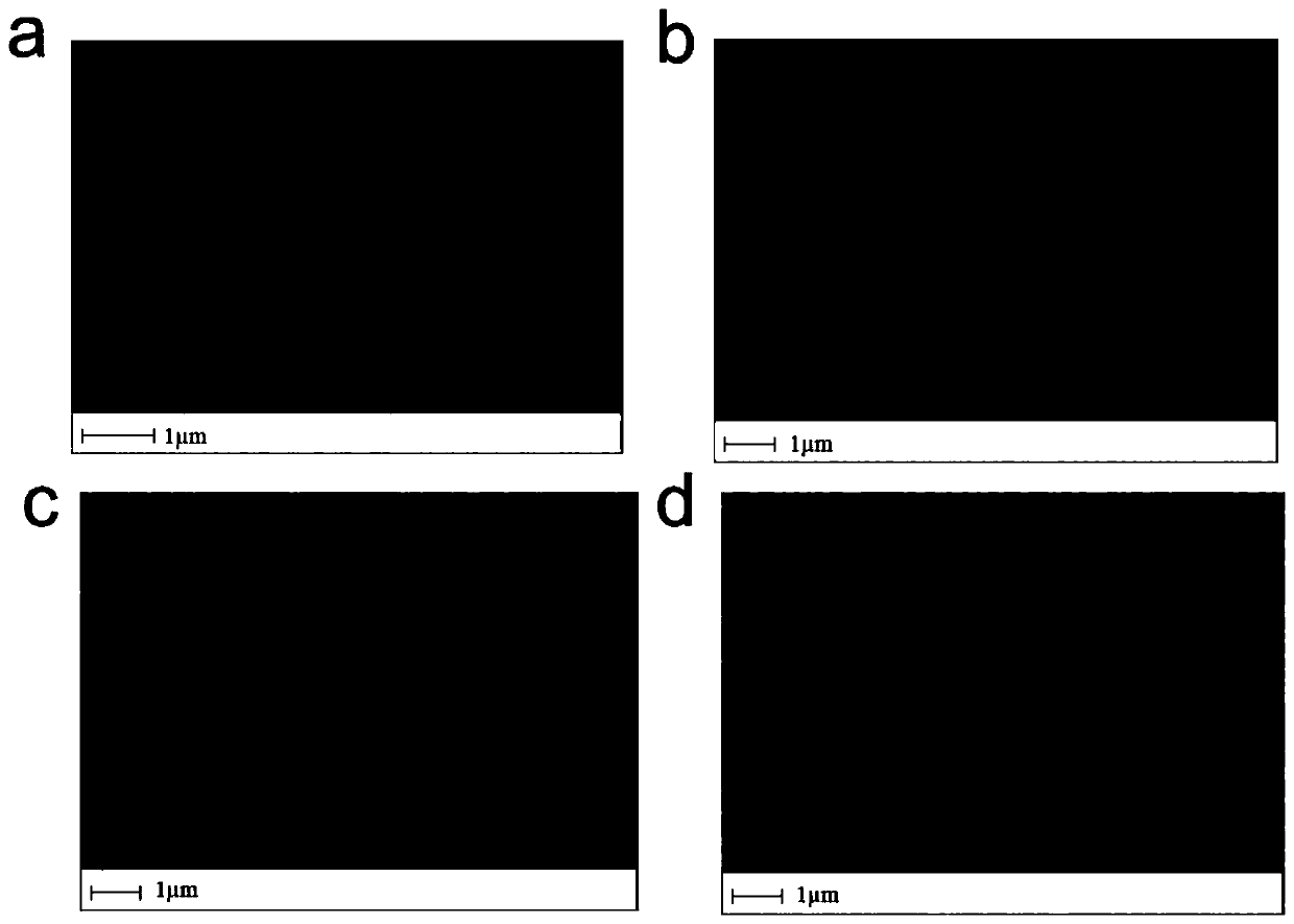 Raman immune detection method based on novel SERS probe