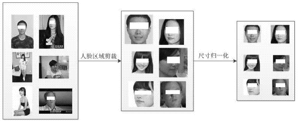 A method and device for constructing a large-scale face pattern analysis sample library