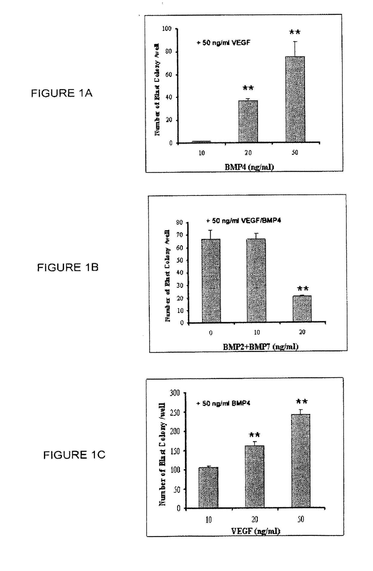 Hemangio colony forming cells and non-engrafting hemangio cells