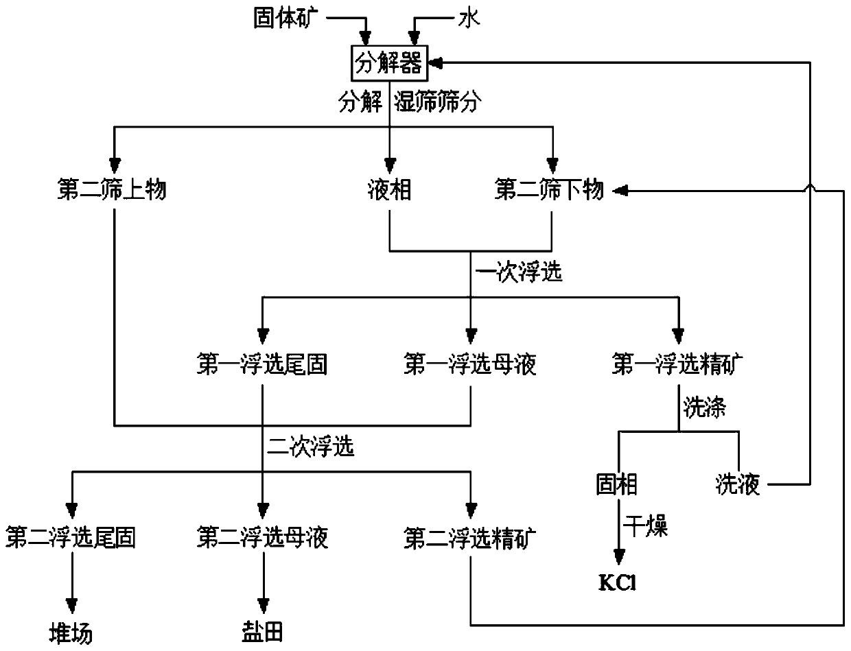 A kind of method for preparing potassium chloride from solid ore containing potassium ammonium magnesium