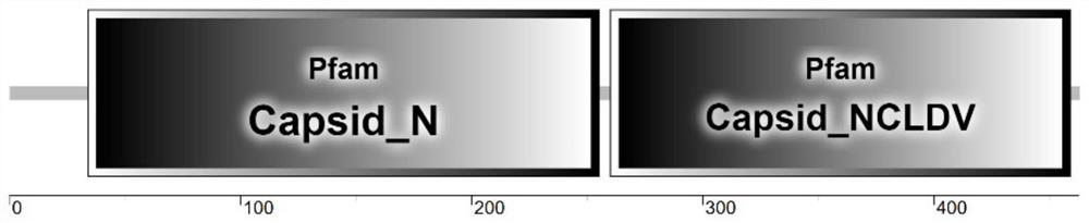 ELISA kit for detecting iridescent virus antibody in largemouth bass and its detection method