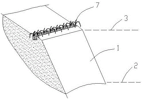 Rocky hydro-fluctuation belt floating plate elegant greening method