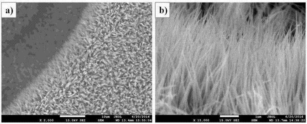 Co3O4/MnO2/PPy nanowire array and preparation method thereof