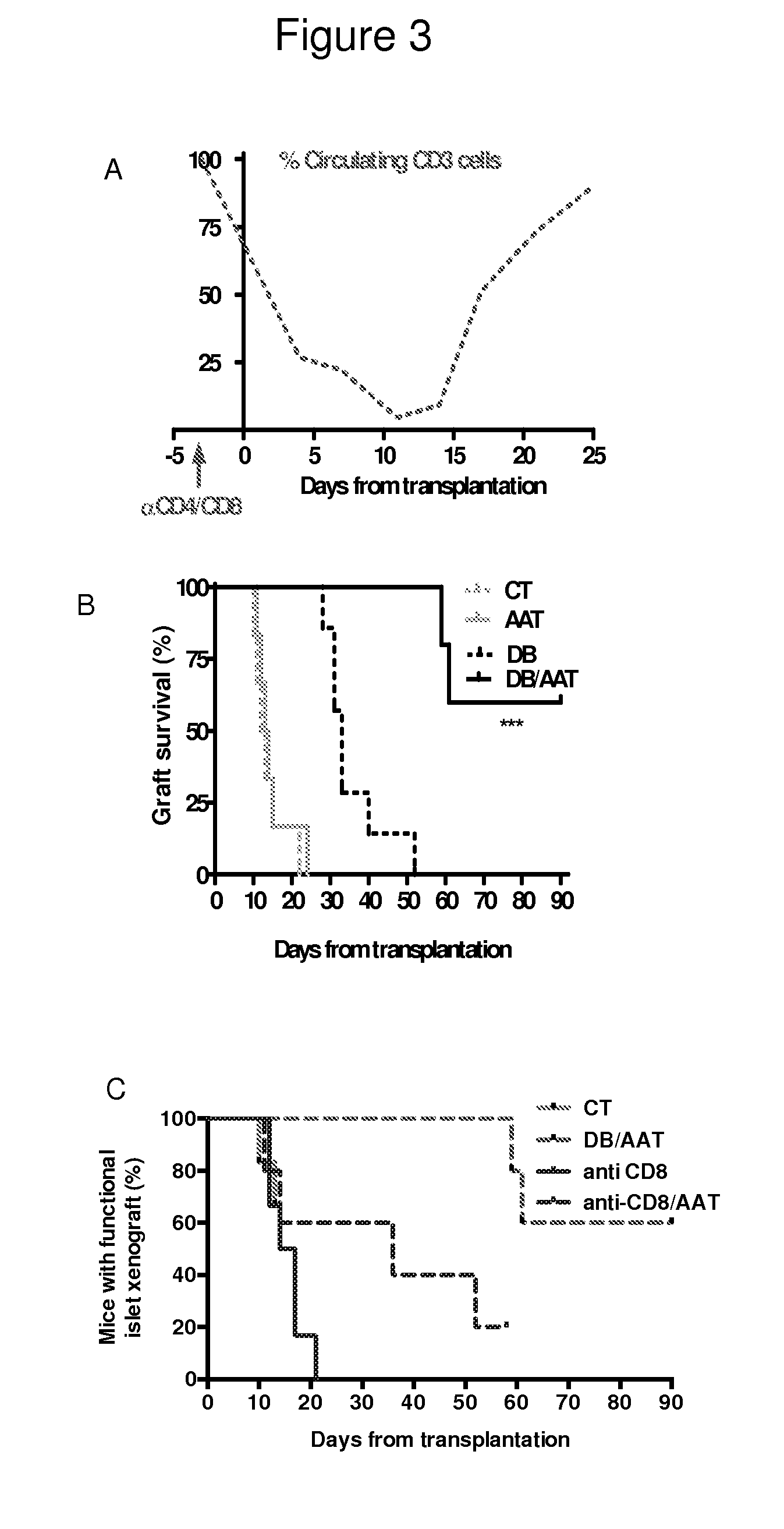 Combined therapy of alpha-1-antitrypsin and temporal t-cell depletion for preventing graft rejection