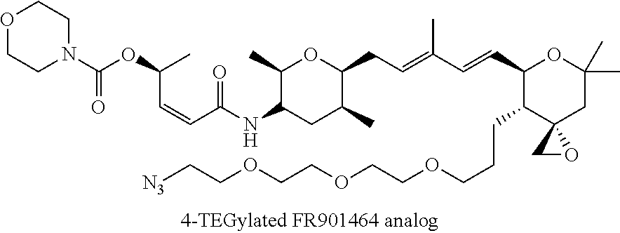 Synthesis of fr901464 and analogs with antitumor activity