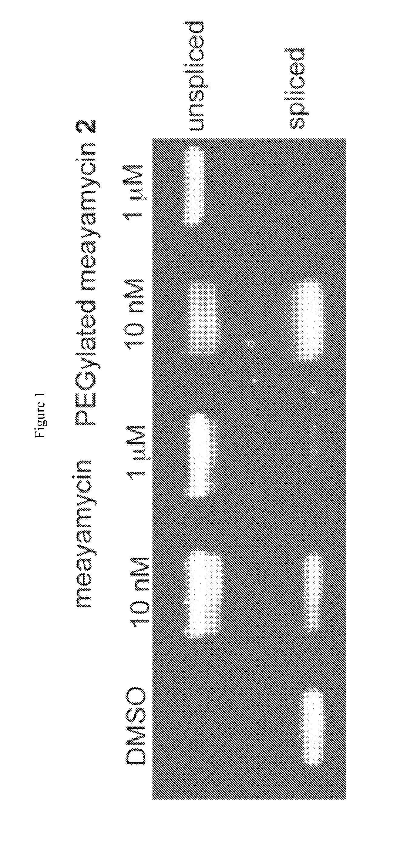 Synthesis of fr901464 and analogs with antitumor activity