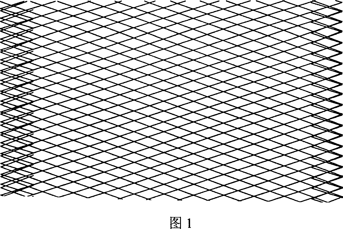 High-powered lithium ferric phosphate dynamic battery, and preparation technique