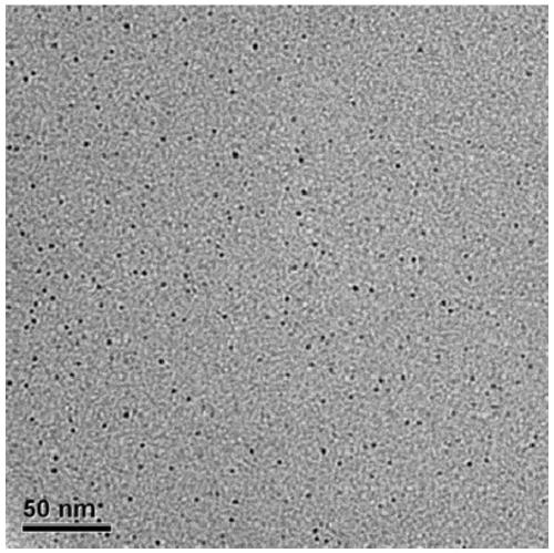 Method for converting carbon nanotube into graphene quantum sheet and graphene quantum sheet prepared by using same