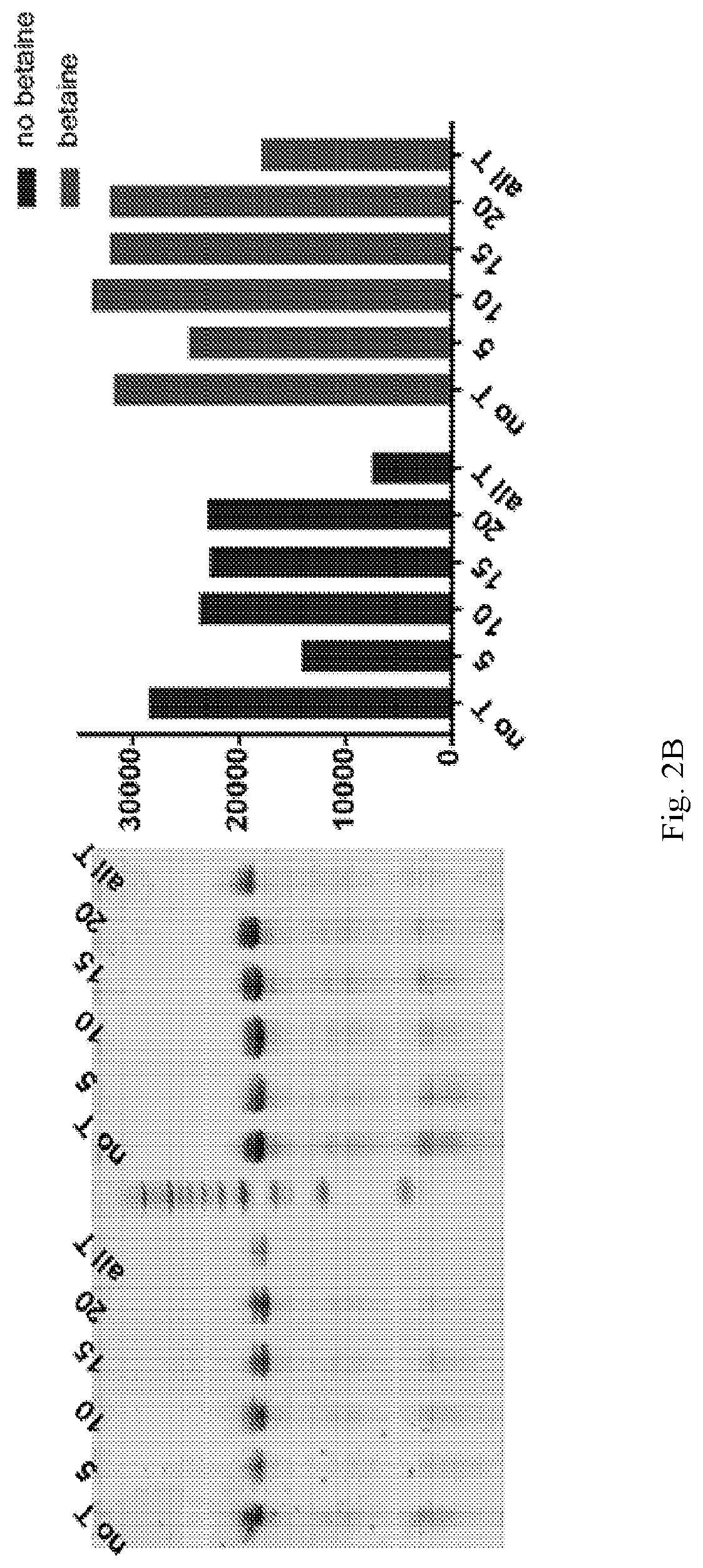 Chemically modified RNA aptamers and uses thereof