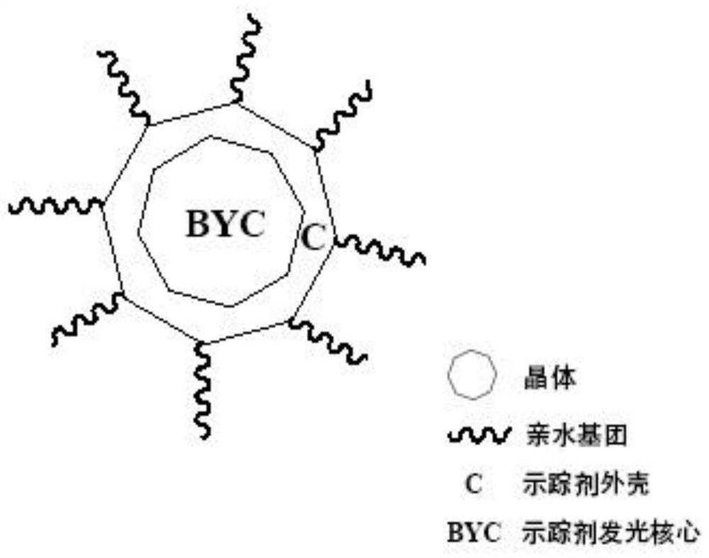 Synthesis method and application of "byc tracer"