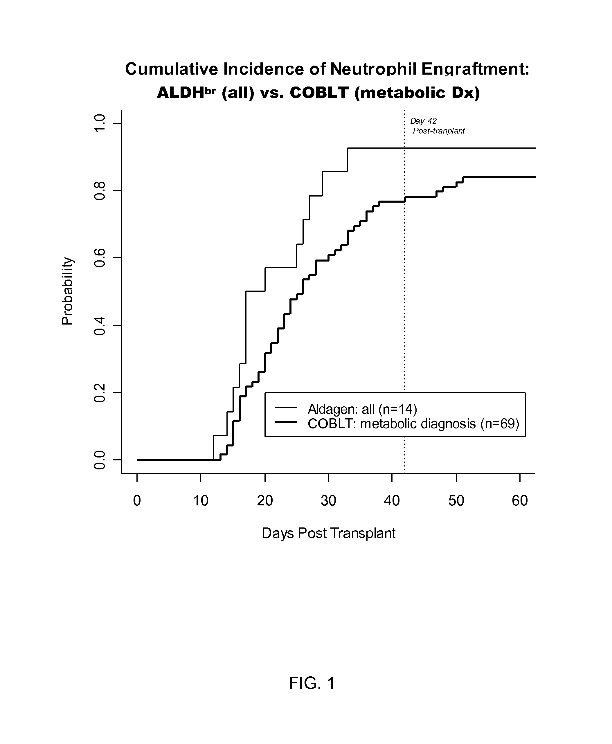 METHODS FOR USING ALDHbr CELLS TO SUPPLEMENT STEM CELL TRANSPLANTATION