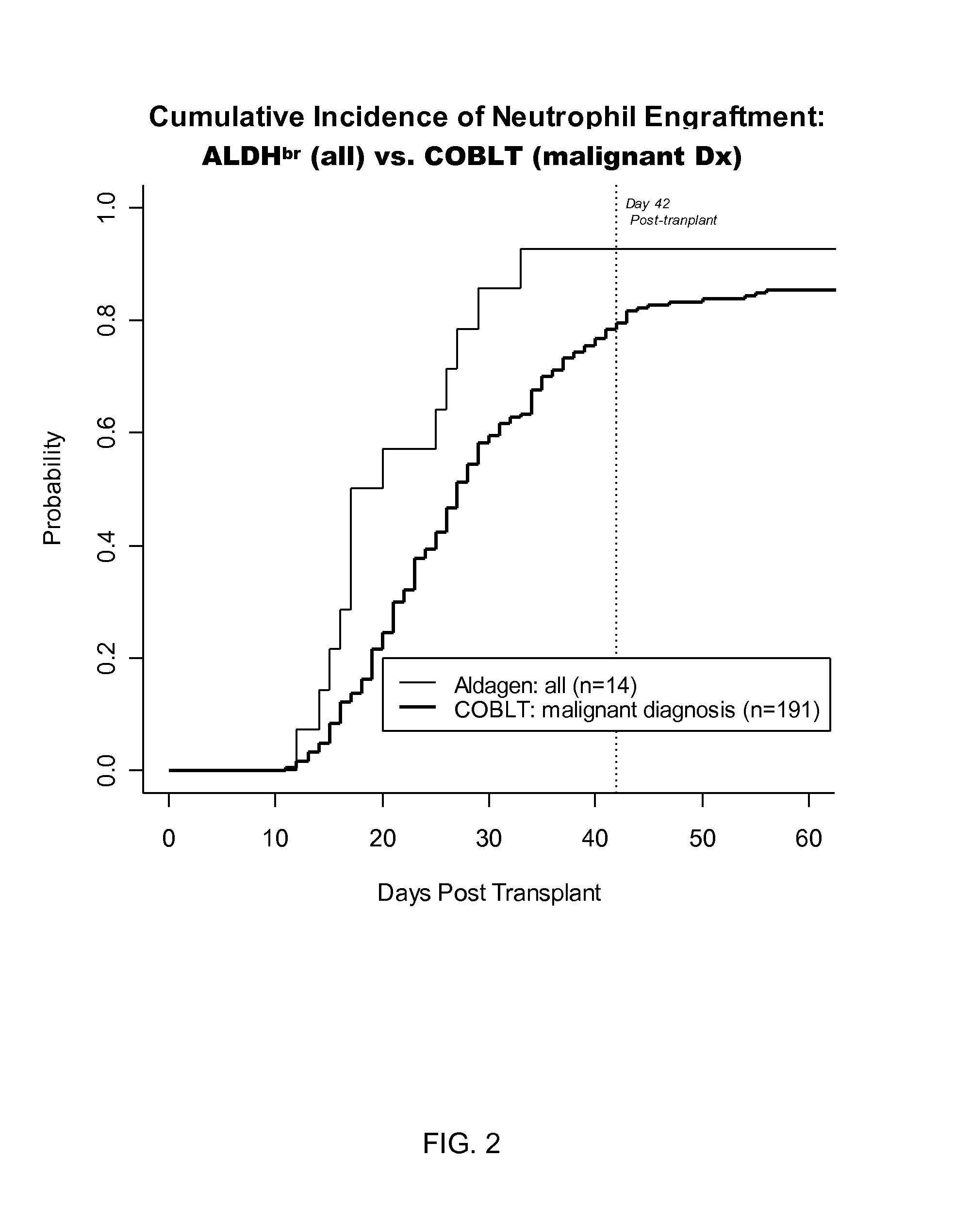 METHODS FOR USING ALDHbr CELLS TO SUPPLEMENT STEM CELL TRANSPLANTATION