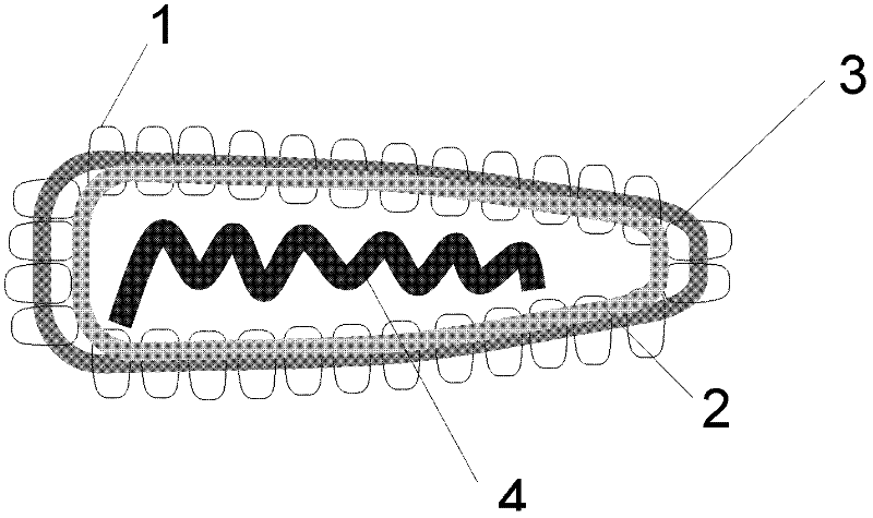 Virus-like particles for pseudorabies virus and preparation method for same