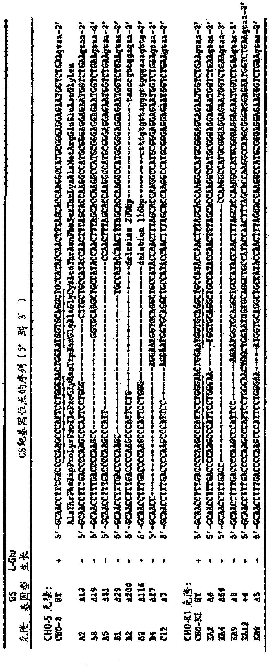 Methods and compositions for inactivating glutamine synthetase gene expression