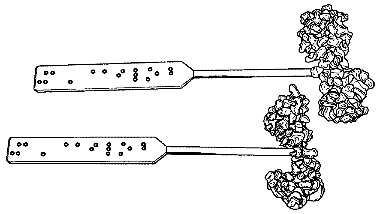 Oral-based method and system for educating visually impaired students