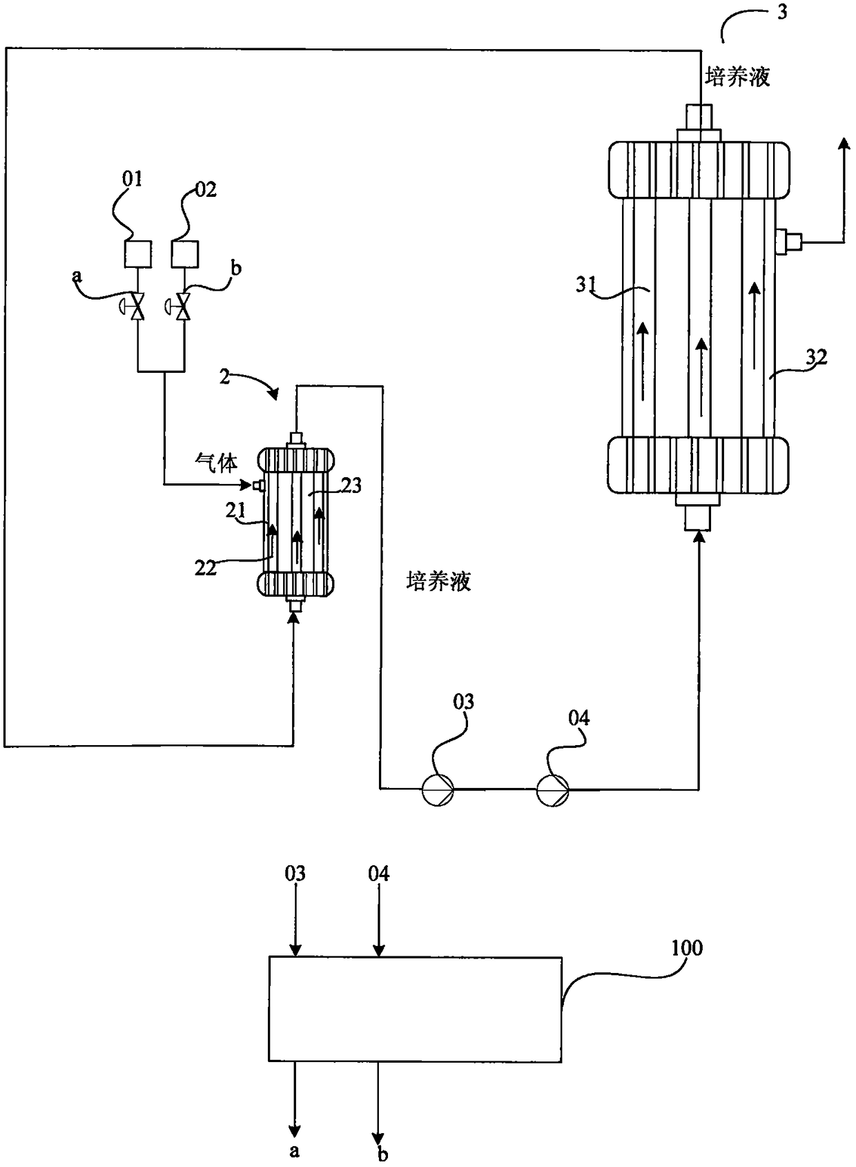 An automated cell expansion system