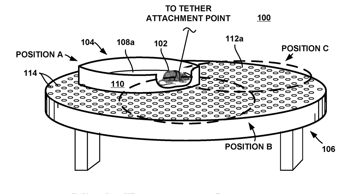 Arrangements for supporting an animal under investigation while monitoring one or more brain processes