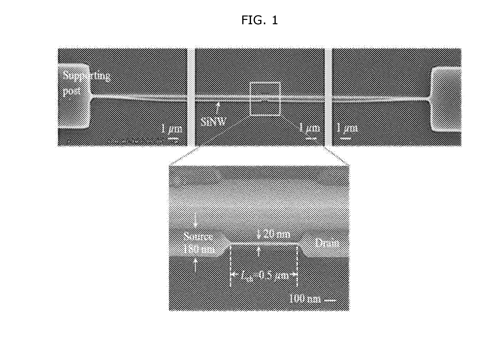 Transistor using single crystal silicon nanowire and method for manufacturing same
