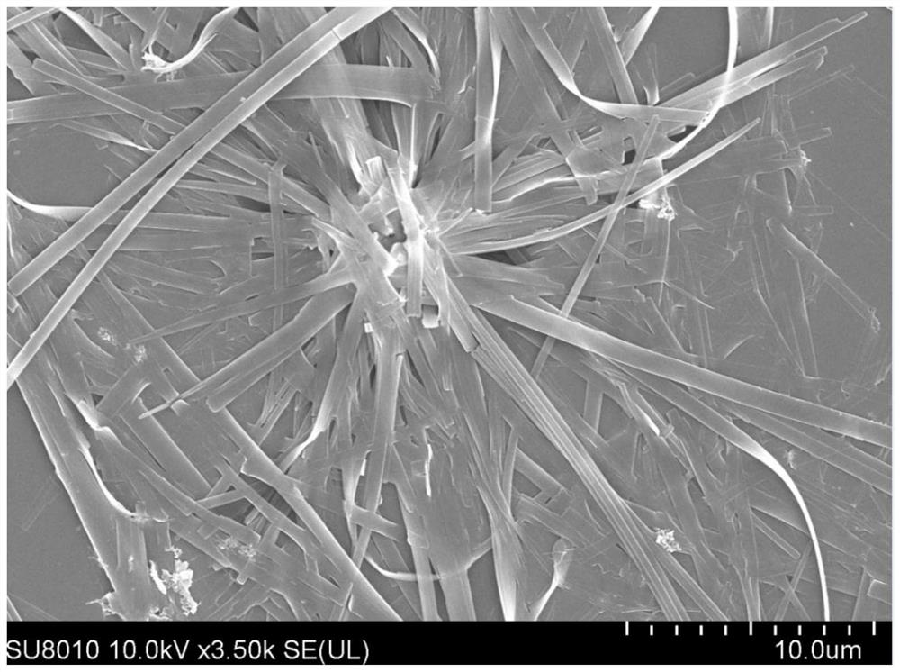 Nano material based on perylene bisimide as well as preparation method and application of nano material