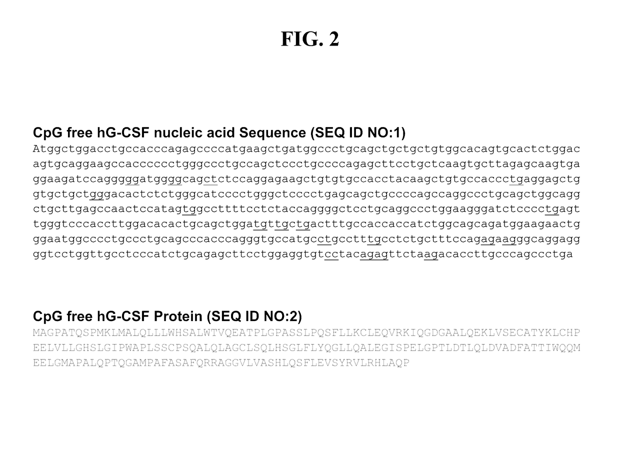 Systems and Methods for Nucleic Acid Expression In Vivo