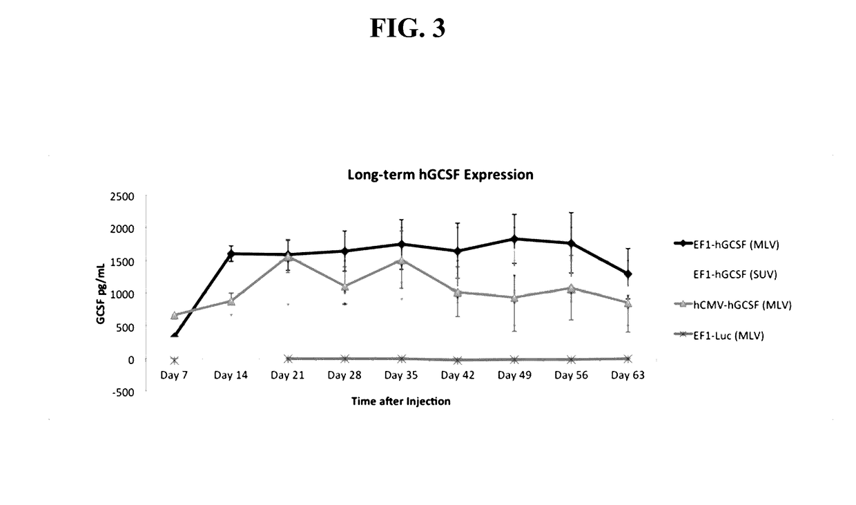 Systems and Methods for Nucleic Acid Expression In Vivo