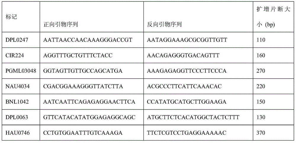 Molecular marker for QTL/major gene related to verticillium wilt resistance of cotton