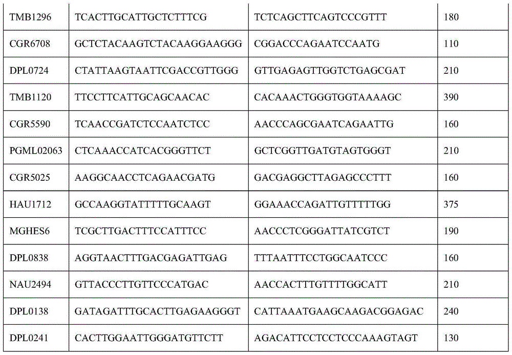 Molecular marker for QTL/major gene related to verticillium wilt resistance of cotton