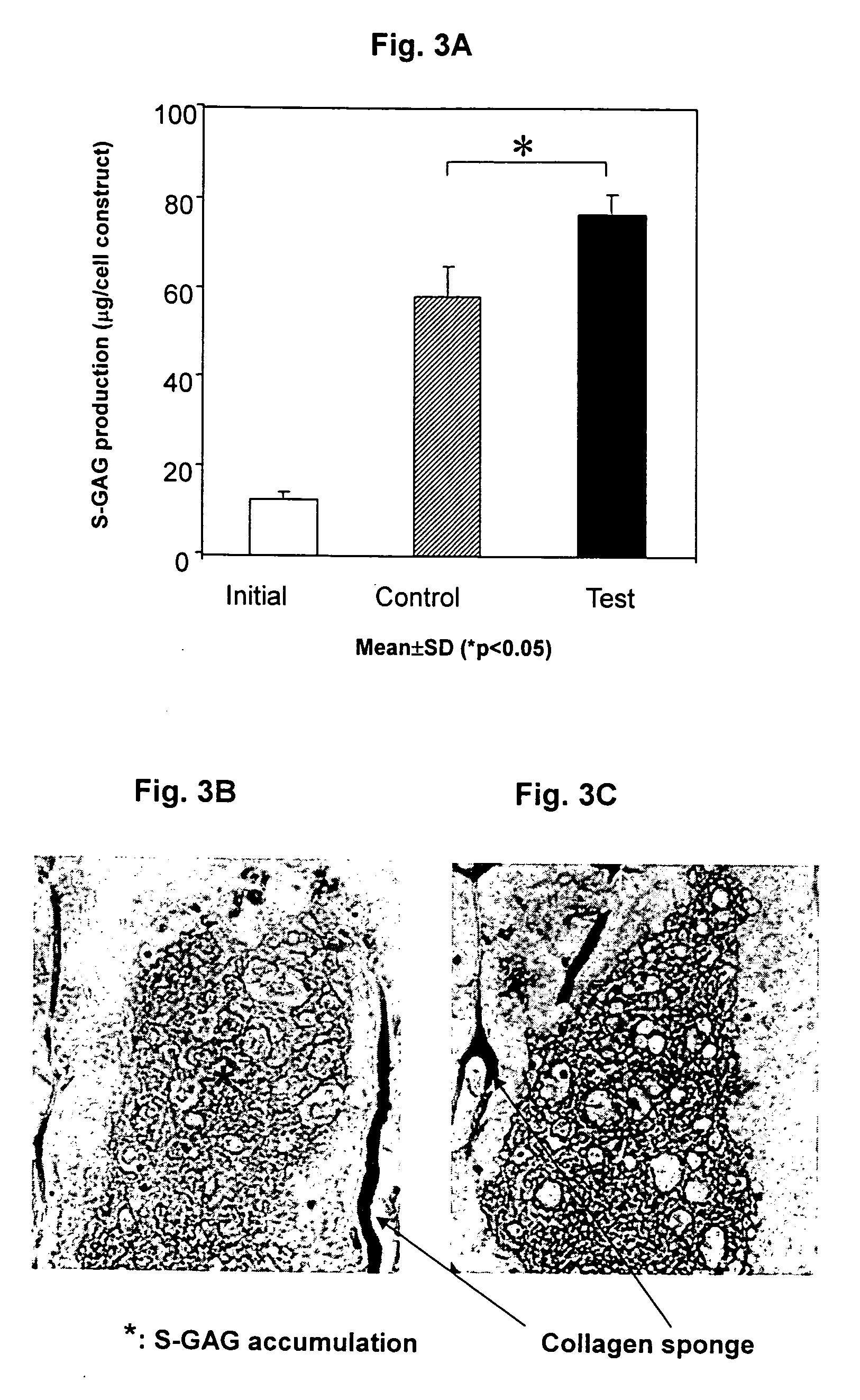Neo-cartilage constructs and a method for preparation thereof