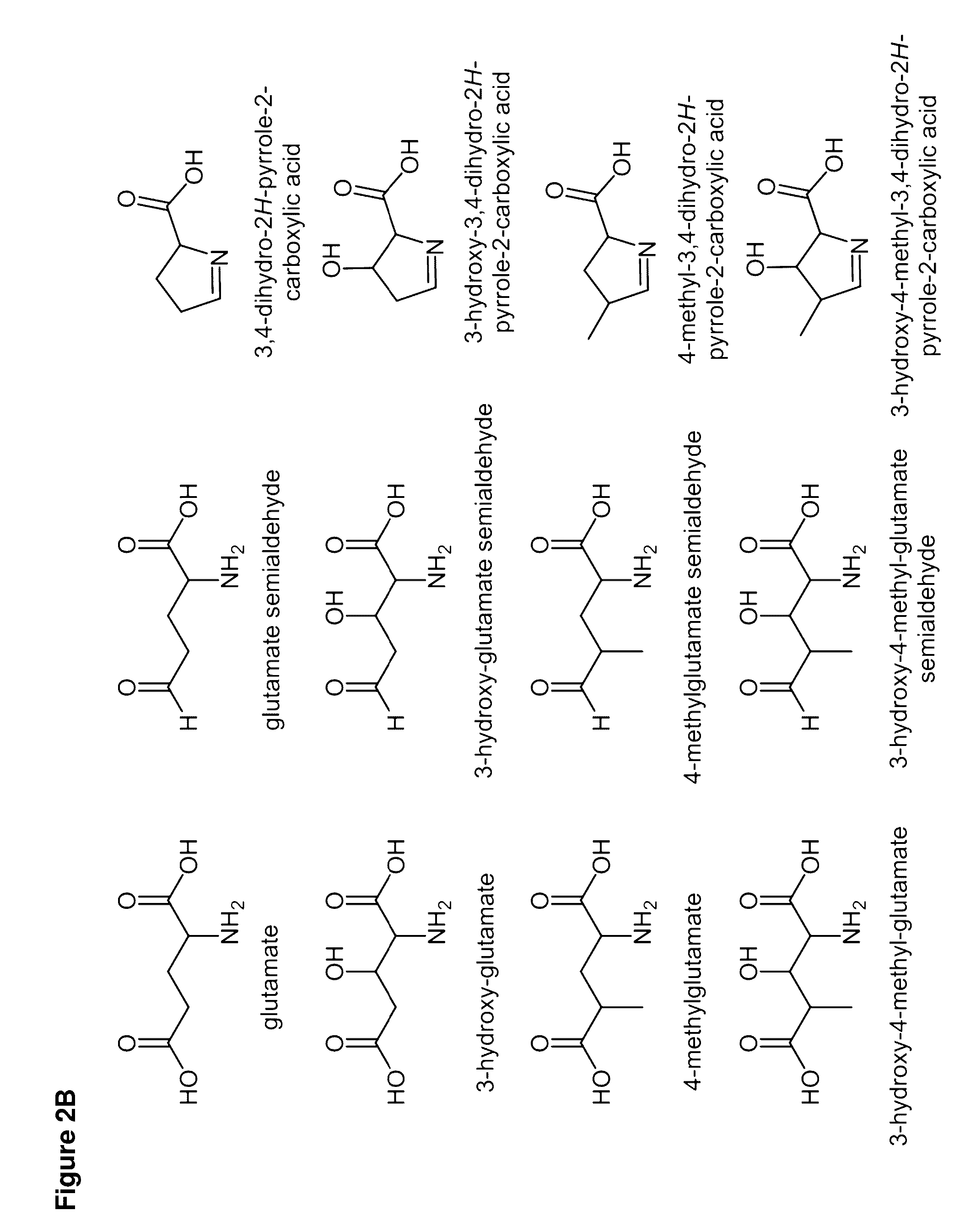 Cell-free preparation of carbapenems