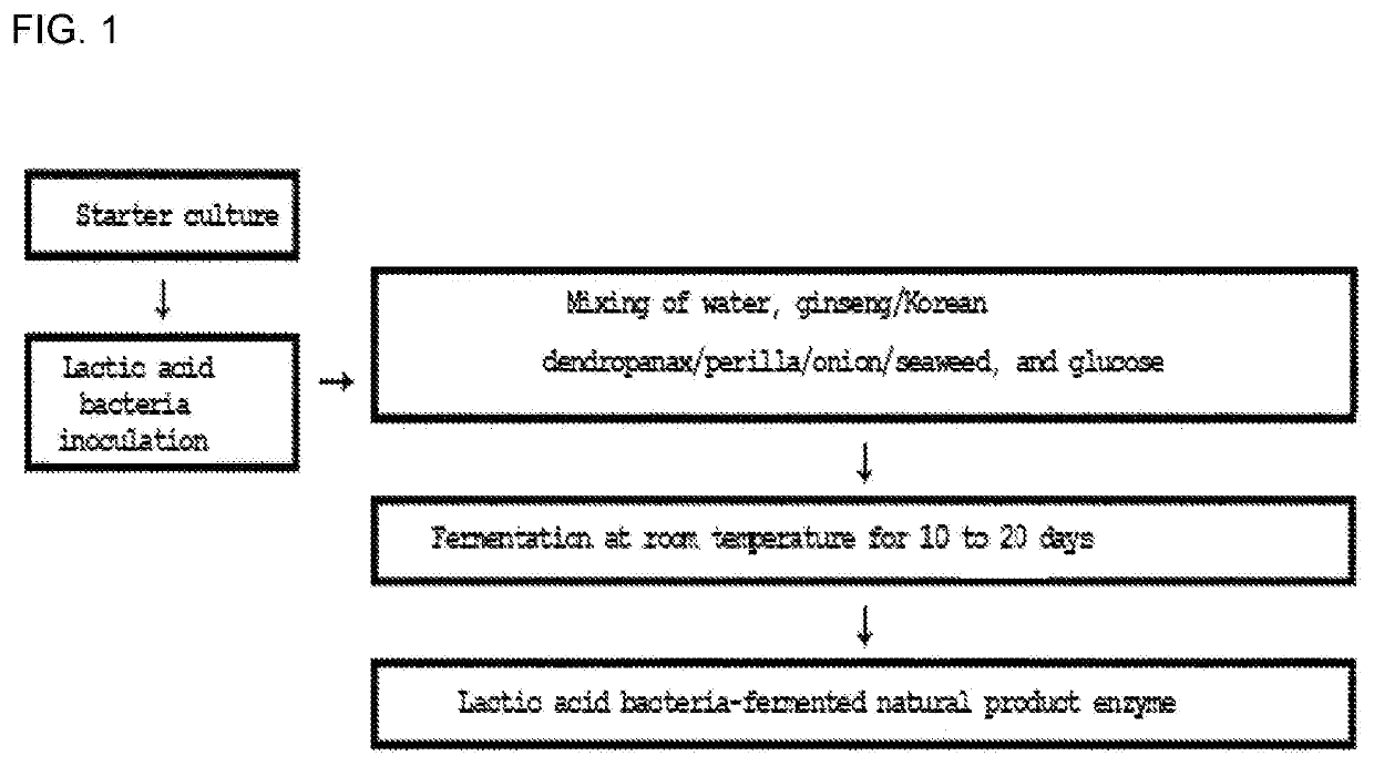 Natural product enzyme using lactic acid bacteria, and preparation method thereof