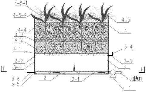 Ecological indoor air purifying device and method