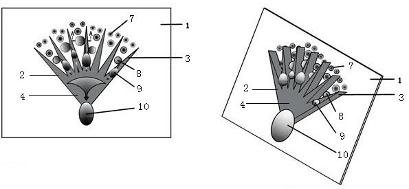 Three-dimensional patterned surface for enhancing dropwise condensation